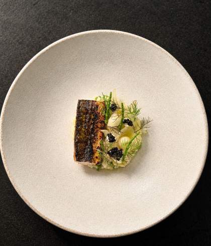 Aliro · Restaurant Gastronomique Montpellier