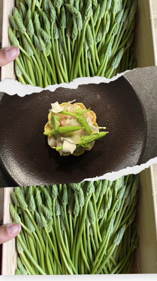 asperge