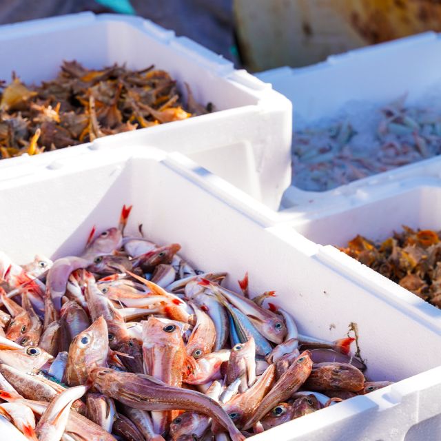 cotéfish
